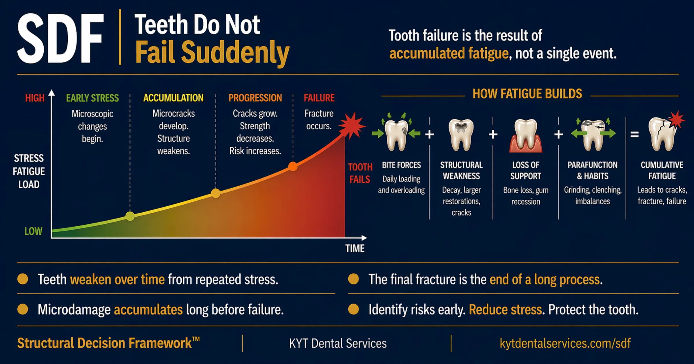 How Teeth Actually Fail diagram